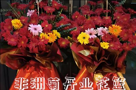南昌新建区开业花篮